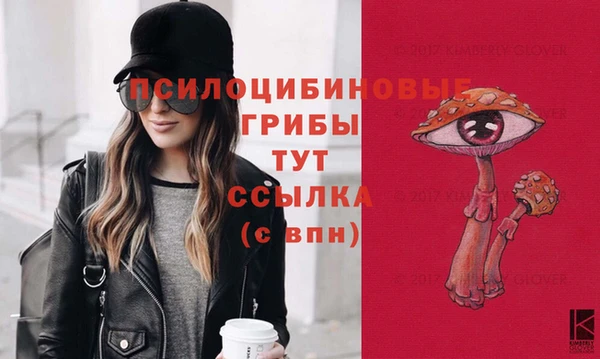 меф Гусь-Хрустальный